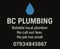 Company/TP logo - "BC Plumbing"