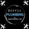 Company/TP logo - "Norris Plumbing & Maintenance"