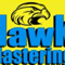 Company/TP logo - "Hawk Plastering"