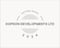 Company/TP logo - "DOPSON DEVELOPMENTS LTD"