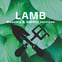 Lamb Masonry & Garden Services avatar