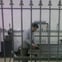 AA METAL FABRICATION LTD avatar