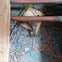 Dovetail Building avatar