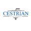 Cestrian plastering avatar