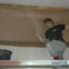 david evans avatar