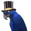 Parrot Homeworks avatar