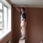 ML Plasterers avatar
