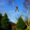 Crawford Gardens and Tree Surgery avatar