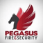 Pegasus Fire & Security avatar