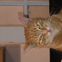 Arthur's Building Service LTD avatar