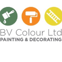 BV Colour avatar