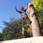 AA Tree Surgeon & Landscaping avatar