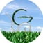 Glen Landscape Services Limited avatar