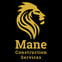Mane Construction Services avatar