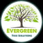 Evergreen Tree Solutions avatar
