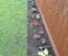 MM Tree & Garden Services avatar