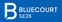 BLUECOURT SE25 LTD avatar