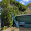 Tree And Gardening Services avatar
