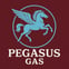 Pegasus Gas avatar
