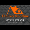 D Silver Roofline avatar
