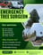 Tree Hedge Cutting Service avatar