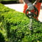 Harbinson Tree & Garden services avatar