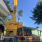 The Tree Fellas NW Ltd avatar