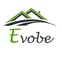 Evo Be building avatar