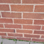 Lee Brickwork avatar