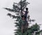 Lens Tree & Gardening Services avatar