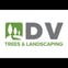 DV Tree & Landscaping avatar