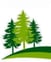 Tree Services avatar