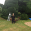 MULBERRY TREE SERVICES avatar