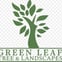 Greenleaf Tree & Landscapes avatar