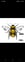 Brianbee Landscaping avatar