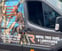 Royal Tree Care & Landscapes avatar
