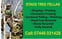 K Lee Stags Tree Specialists avatar