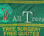 ALL TREES & LANDSCAPING avatar