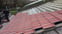 Big T's Roofing & Building avatar