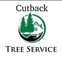 Cutback Drives & Landscaping avatar