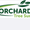 Orchard Tree Surgeon avatar