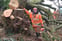 PGM Garden Services avatar