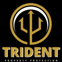 TRIDENT PROPERTY PROTECTION LIMITED avatar
