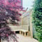 Cut Above NW avatar