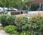 A&H Gardening LTD avatar