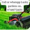 Lucky Gardens avatar