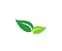 Oakleaf Tree Service & Gardening  avatar