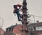 H & Sons Local Tree & Garden Services avatar