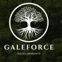 Galeforce Developments Ltd avatar