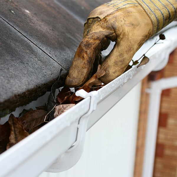 sm-gutter-cleaning-11.jpg